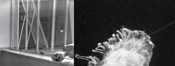 un-existing body: Stefano Ciannella and Keaton Fox @ Rialto