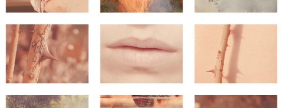 DI PROSPERO, Instinct, 2012 03_a