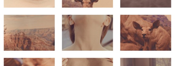 DI PROSPERO, Instinct, 2012 06_a