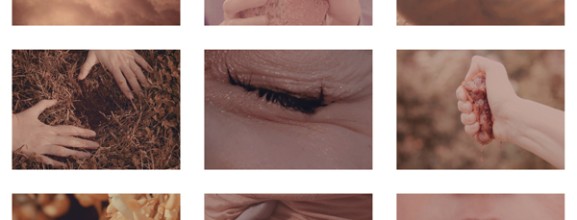 DI PROSPERO, Instinct, 2012 07_a